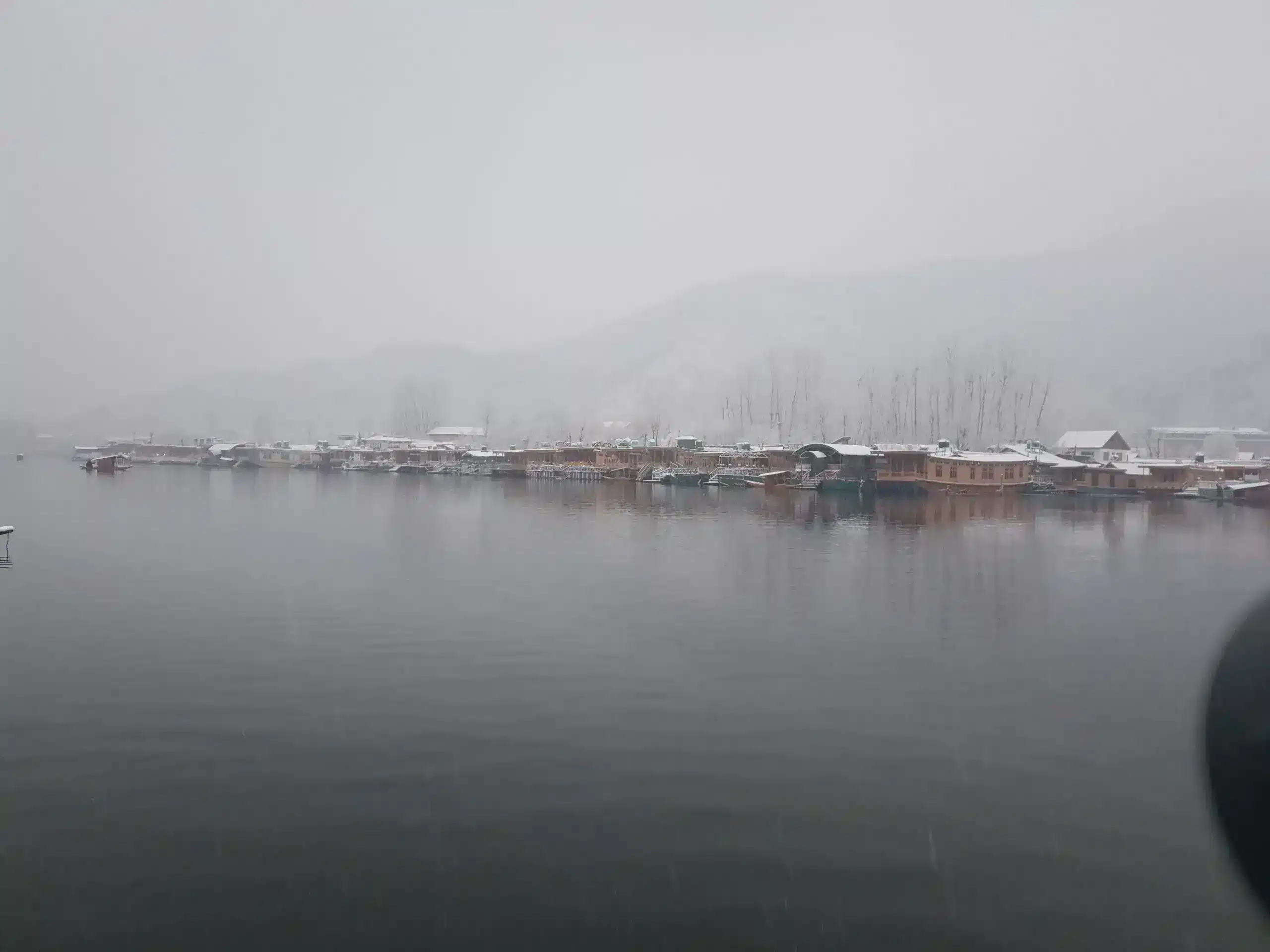 Timless gray beauty of Kashmiri Winter