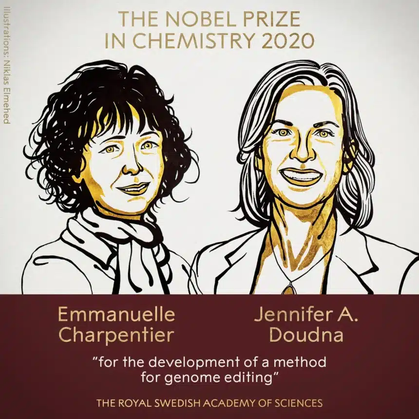 Nobel Prize 2020 chemistry