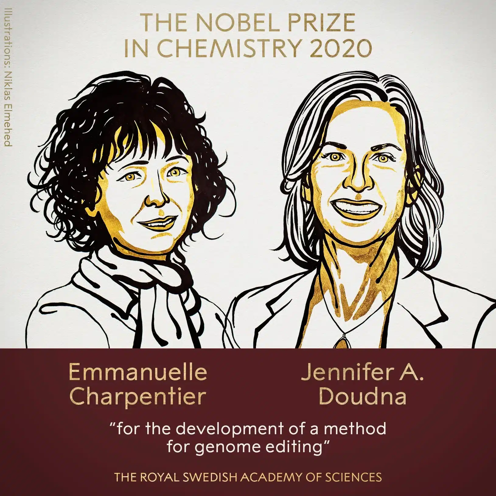 Nobel Prize in Chemistry awarded for genetic scissors