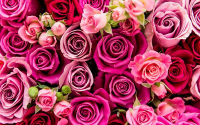 What lies behind the roses of Valentine’s Day: Feast of Lupercalia?