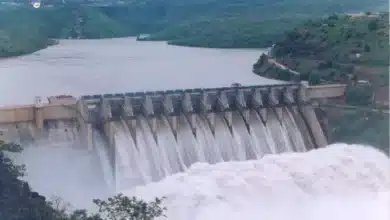 Bhakra Nangal Dam