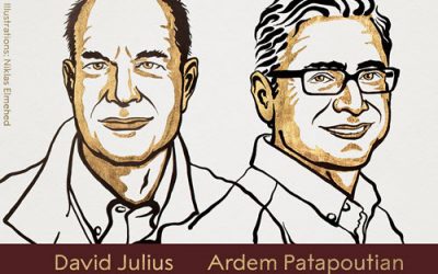 David Julius and Ardem Patapoutian won  the Nobel Prize in Physiology or Medicine 2021