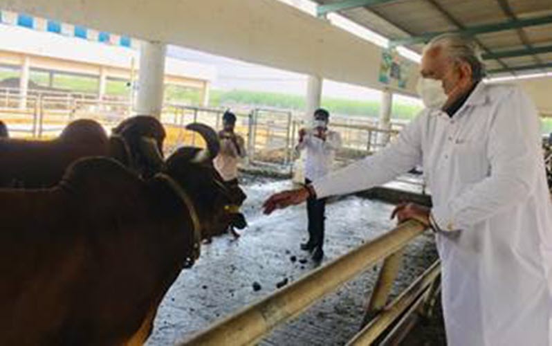 Parshottam Rupala visited the Bovegejix to see IVF Banni calf