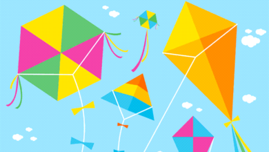 International Kite Day