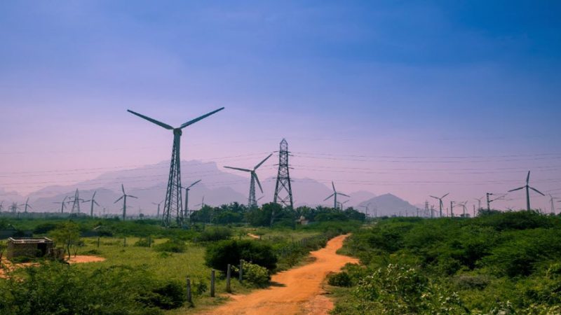 India and IRENA Strengthen Ties as Country Plans Major Renewables and Hydrogen Push