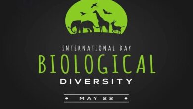 International Day for Biological Diversity