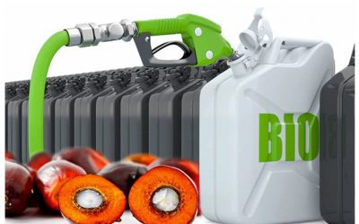 Indonesia to road test 40% palm oil mix biodiesel at end-July
