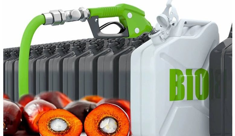 Indonesia to road test 40% palm oil mix biodiesel at end-July