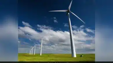 World Wind Day