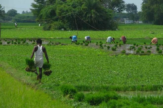Cabinet approves Computerization of Primary Agriculture Credit Societies (PACS)