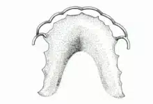 International Retainer Day