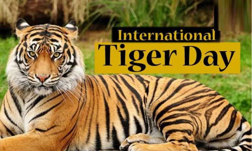 Tadoba Tiger Reserve host National Global Tiger Day Celebrations 2022