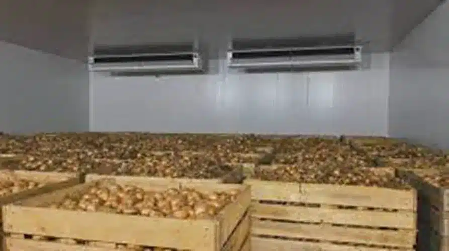Onion Storage