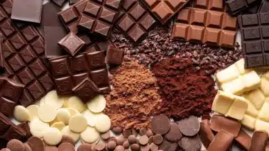 World Chocolate Day