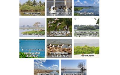 75 Ramsar Sites in 75th Year of Independence