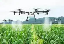 Smart Farming