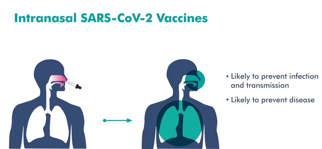 intransal-covid-vaccine