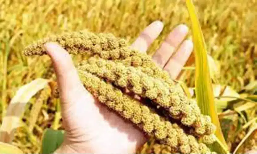 Glance at International Year of Millets-2023