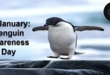 20 January: Penguin Awareness Day