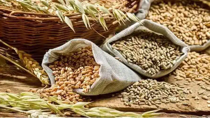 3.85 LMT wheat stock sold for Rs. 901 Crore in second e-auction by FCI