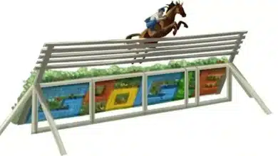 Alberto Larraguibel's record setting Puissance jump