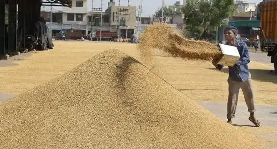 Paddy Procurement crosses 700 LMT mark benefiting over 96 lakh farmers
