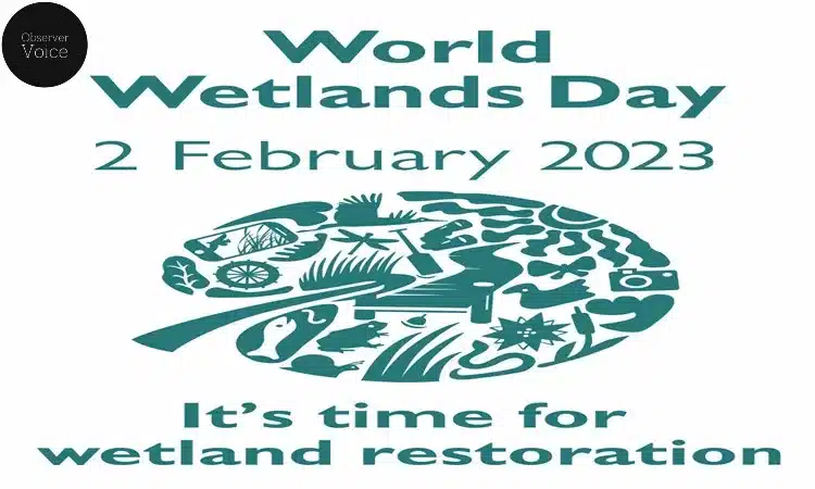 2 February: World Wetland Day