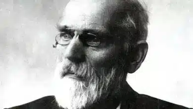 Johannes Diderik van der Waals