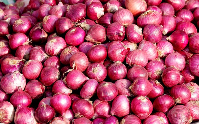 NAFED to begin procurement of Kharif Onion in Gujarat