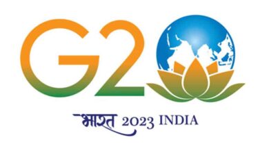 G20