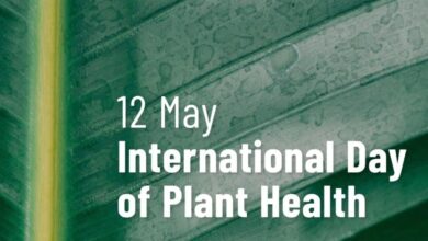 International Day of Plant Health