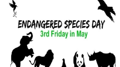 National Endangered Species Day