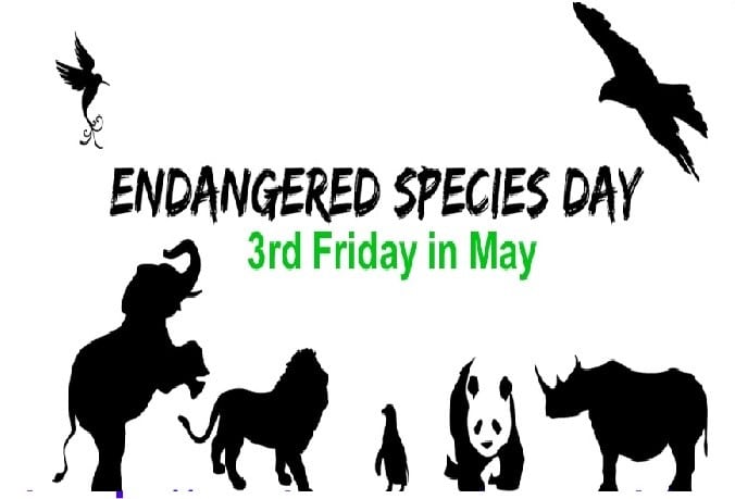 19 May: National Endangered Species Day