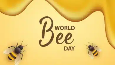 World Bee Day