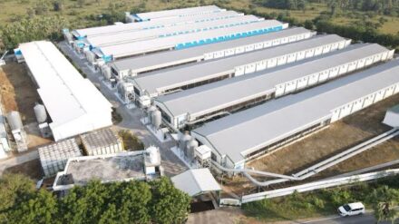 Ovo Farm is Revolutionising the Egg Industry by Using Blockchain Technology