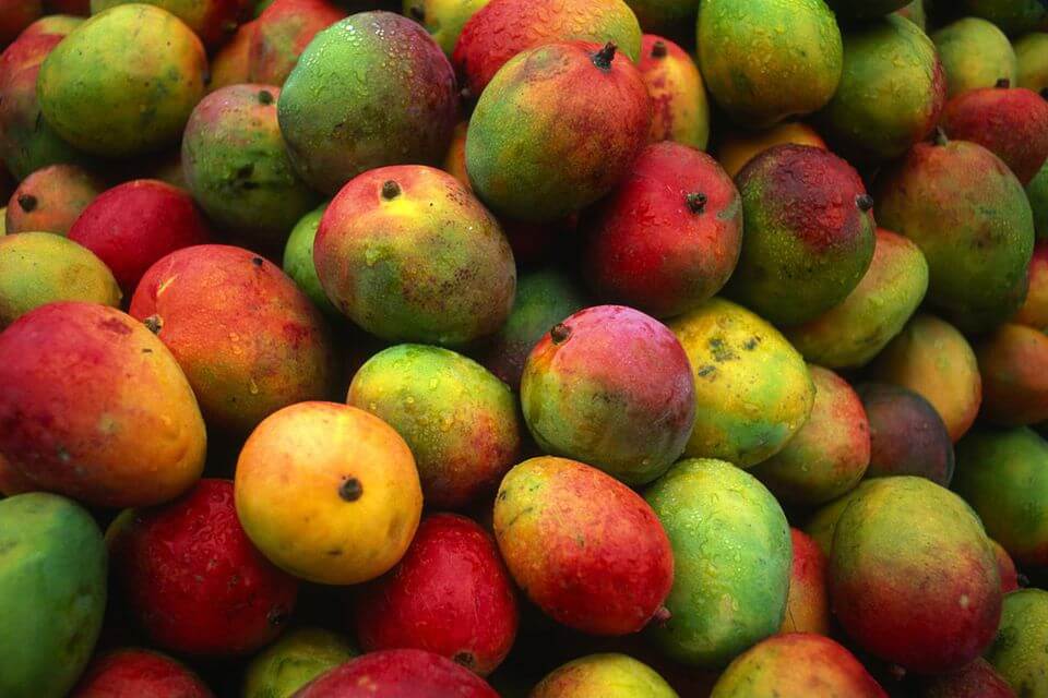 22 July: National Mango Day
