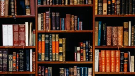 Murphy’s Law: Embracing the Unexpected in Business