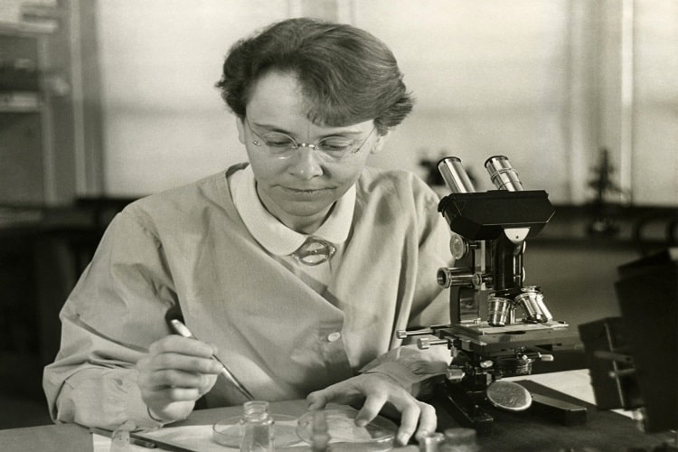 Barbara McClintock Trailblazer In Genetics And Nobel Laureate 