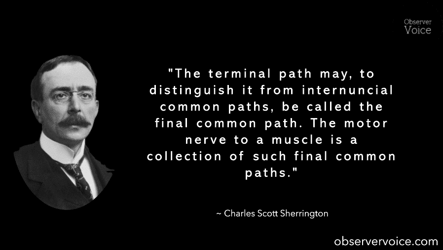 Charles Scott Sherrington Quotes