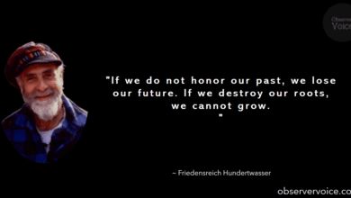 Friedensreich Hundertwasser Quotes