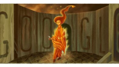 remedios varo