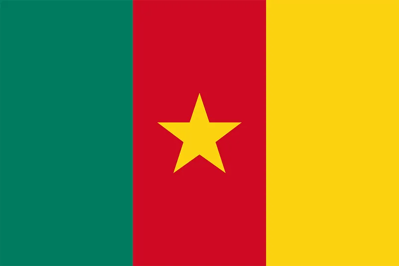 Cameroon Republic Day