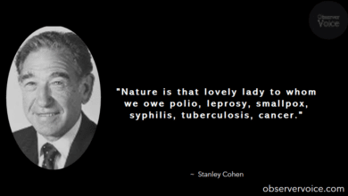 Stanley Cohen Quotes