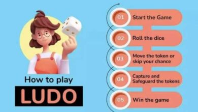 Ludo