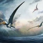 100-million-year-old fossil find reveals huge flying reptile that patrolled Australia’s inland sea
