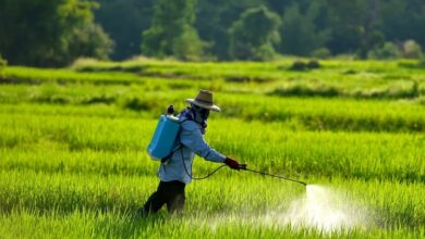 FSSAI Proposes Inter-Ministerial Committees for Pesticide Control, Enhances Food Safety Measures