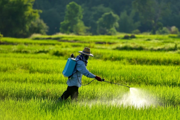 FSSAI Proposes Inter-Ministerial Committees for Pesticide Control, Enhances Food Safety Measures