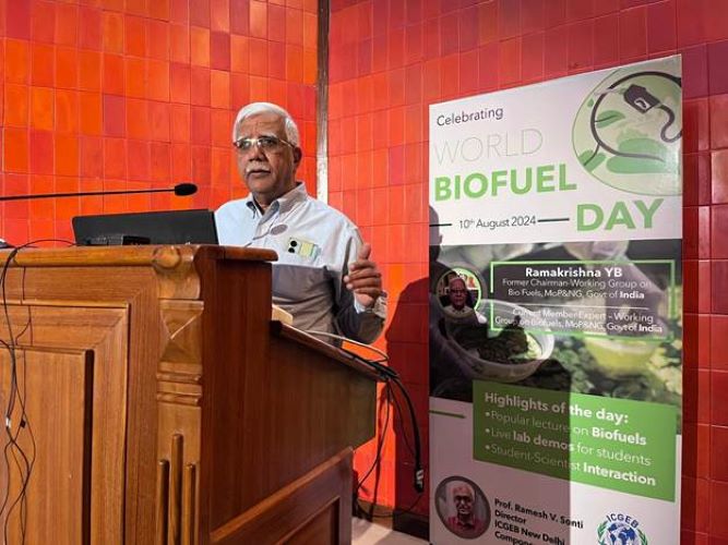 World Biofuel Day 2024