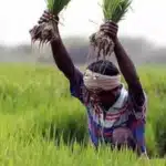 7 New Government Schemes to Support Digital Agriculture