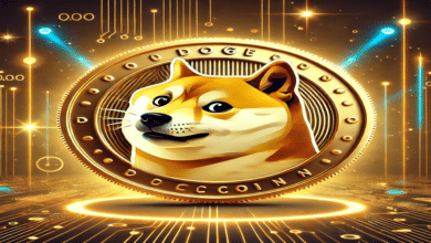 Dogecoin Foundation Seeks Funding for Future Growth